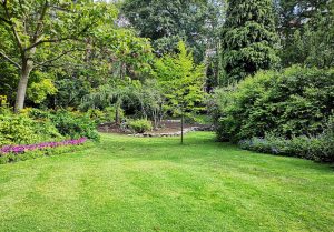 Optimiser l'expérience du jardin à Bonneuil
